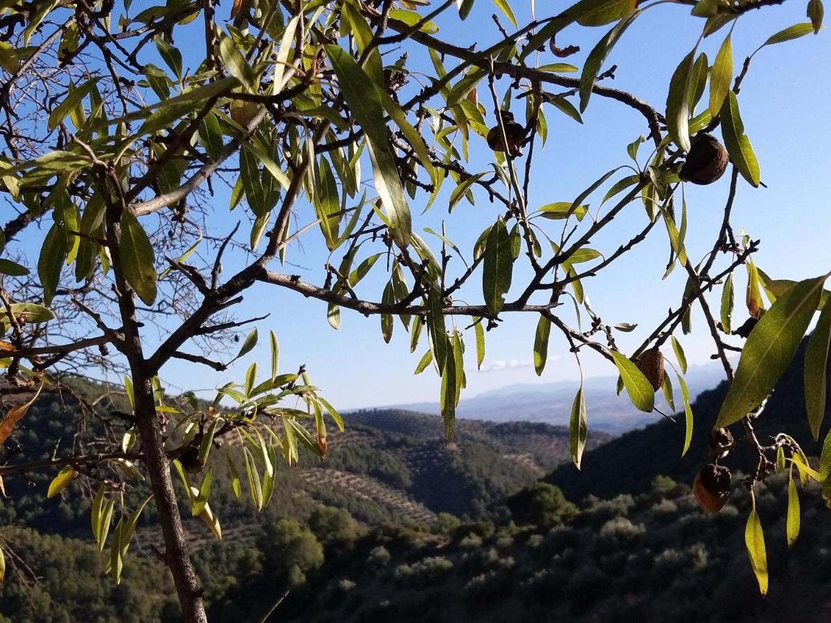 Molino Mairena Vakantiehuis Montefrío